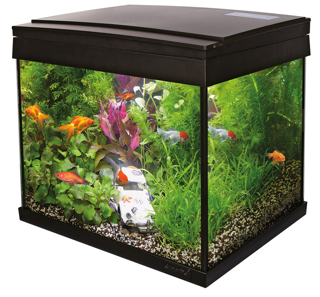 telefoon Verminderen Albany SuperFish aquarium Aqua 20 LED Goldfish kit | Petsworld Tropika