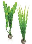 biOrb Easy Plant x 2 Medium green