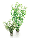 biOrb Easy Plant x 2 Medium Winter Flowers