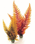 biOrb Easy Plant x 2 Medium Autumn Fern