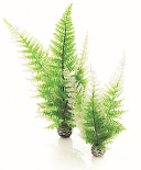 biOrb Easy Plant x 2 Medium Winter Fern