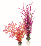biOrb Easy Plant x 2 Medium red/pink