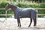 Harry's Horse outdoordeken Wodan 0 gr Tiger