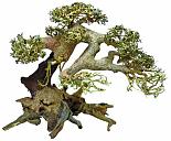 SuperFish Bonsai Driftwood aquariumdecoratie L