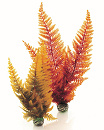 biOrb Easy Plant x 2 Medium Autumn Fern