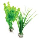 biOrb Easy Plant x 2 Small green