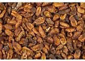 Teurlings Zijderupsen 350 gr