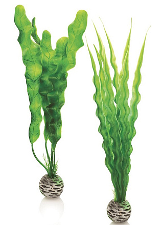 biOrb Easy Plant x 2 Medium green