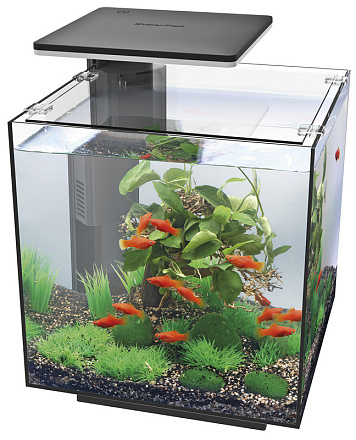 SuperFish aquarium Qubiq 30 LED zwart