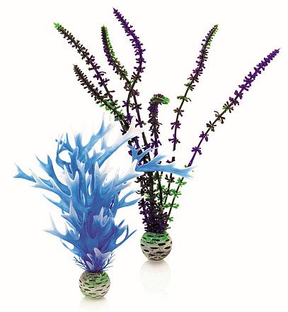 biOrb Easy Plant x 2 Medium blue/purple